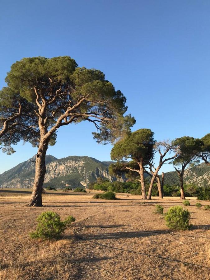 Ikiz Pension Bungalow Çıralı Eksteriør bilde