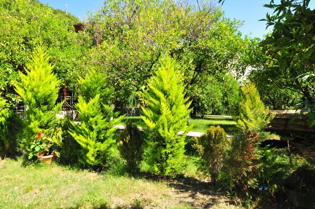 Ikiz Pension Bungalow Çıralı Rom bilde